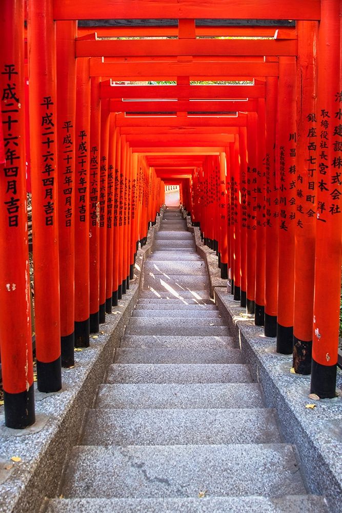 Famous Torii-or gates of the entrance to the Hie Shrine in Tokyo-Japan